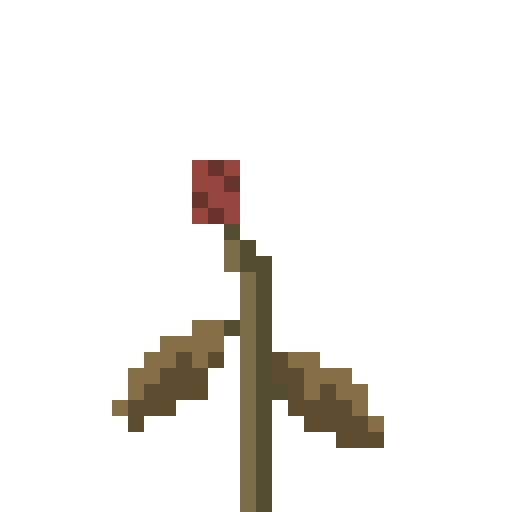 Rose, Bare