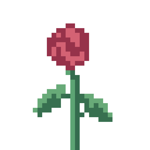 Rose, Drooping