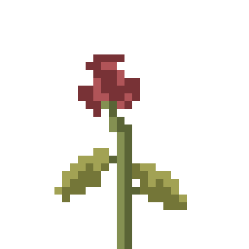 Rose, Wilting